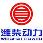 weichai power logo (1)
