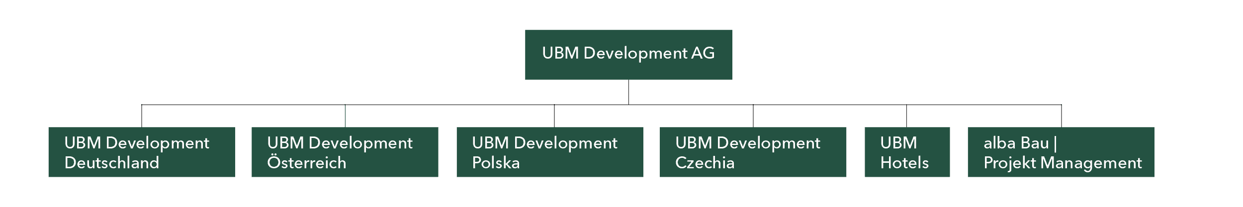 UBM Aktie organigramm